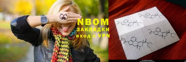 индика Алзамай