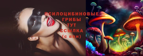 дмт Алексин