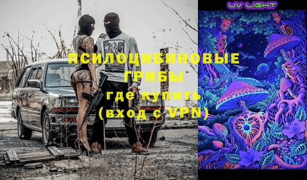 PSILOCYBIN Абаза