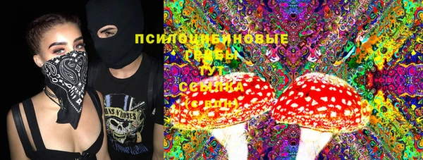 индика Алзамай