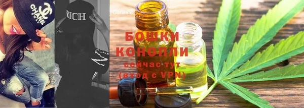 PSILOCYBIN Абаза