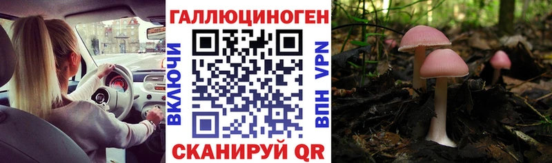 Галлюциногенные грибы Magic Shrooms  купить закладку  маркетплейс как зайти  Мантурово 